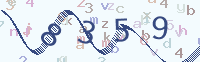کد را تأیید کنید